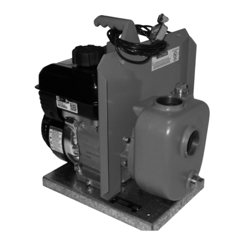 Goulds Pumps 2AM32-P Manual