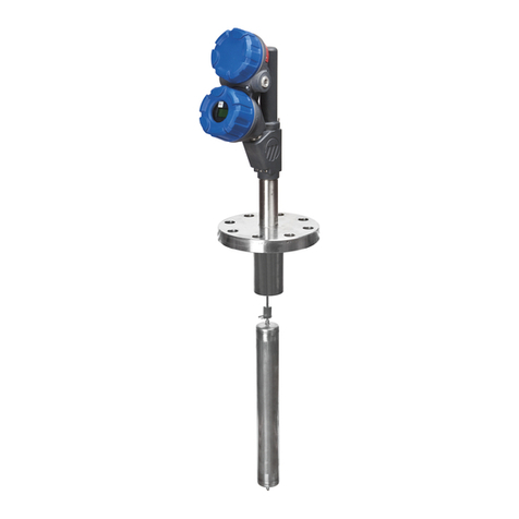 Magnetrol E3 Modulevel series Safety manual