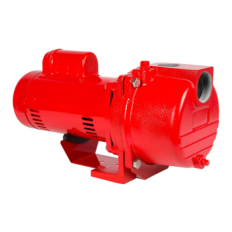 red lion RLSP-100 manual