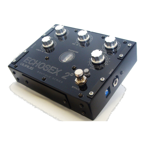Gurus Echosex 2 user manual