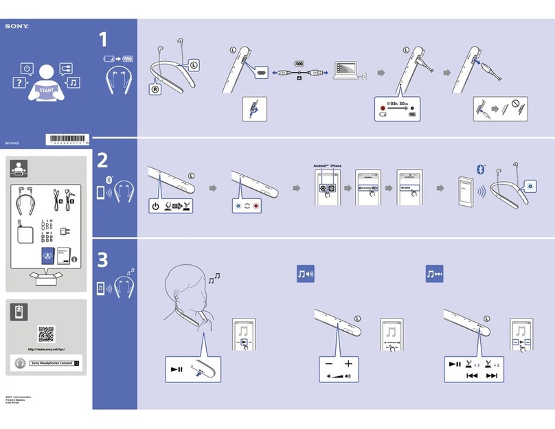 Sony WI-1000X User manual