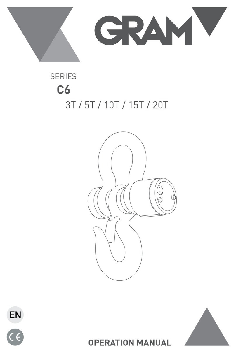 Gram Precision C6-3T User manual