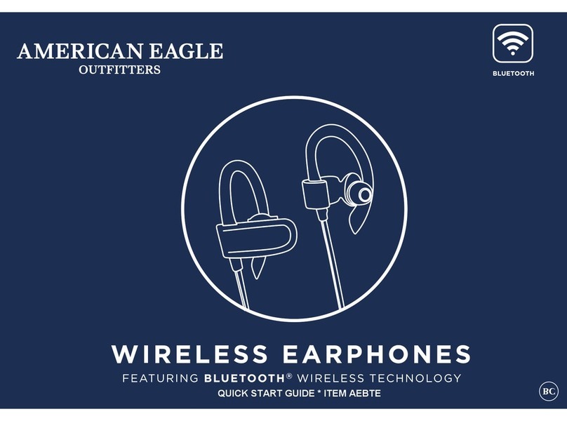American Eagle AEBTE quick start guide
