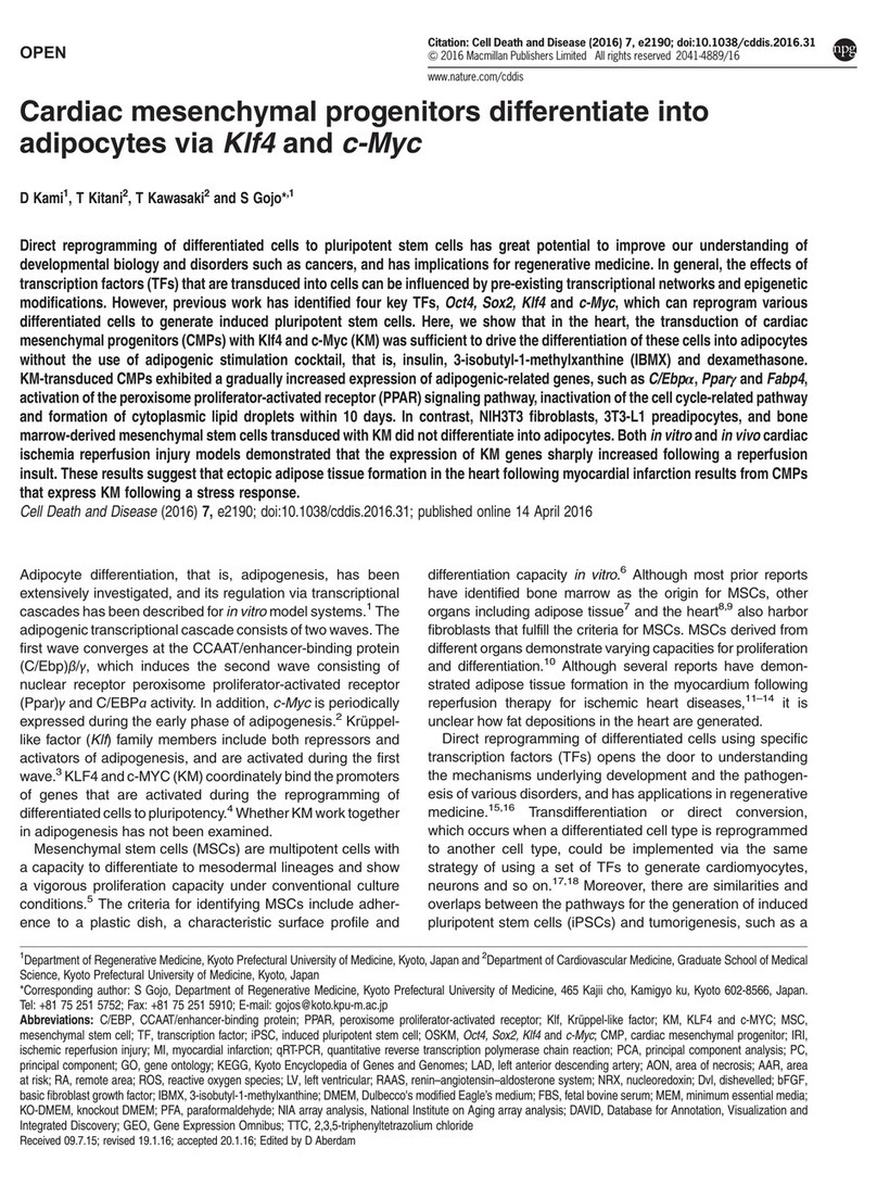 Kewtech KTD50 User manual