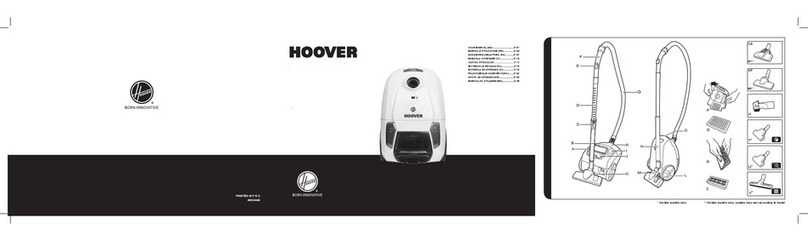 Hoover Brave user manual