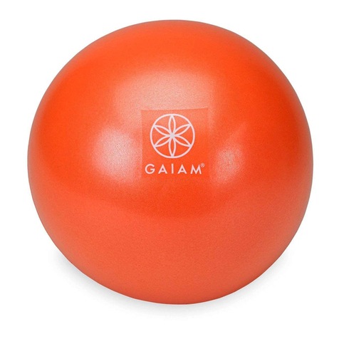 Gaiam Wellbeing Core & Back Strength Ball Exercise guide