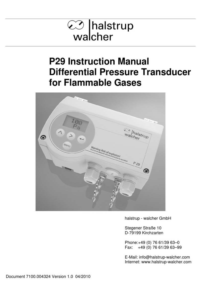 halstrup-walcher P29 User manual