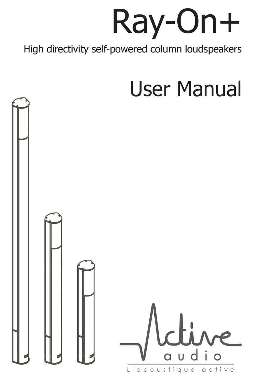 Active Audio R80+ User manual