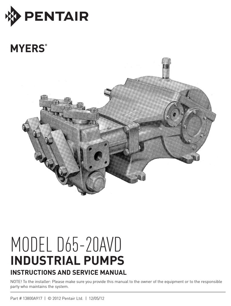 Pentair D65-20AVD Operating manual