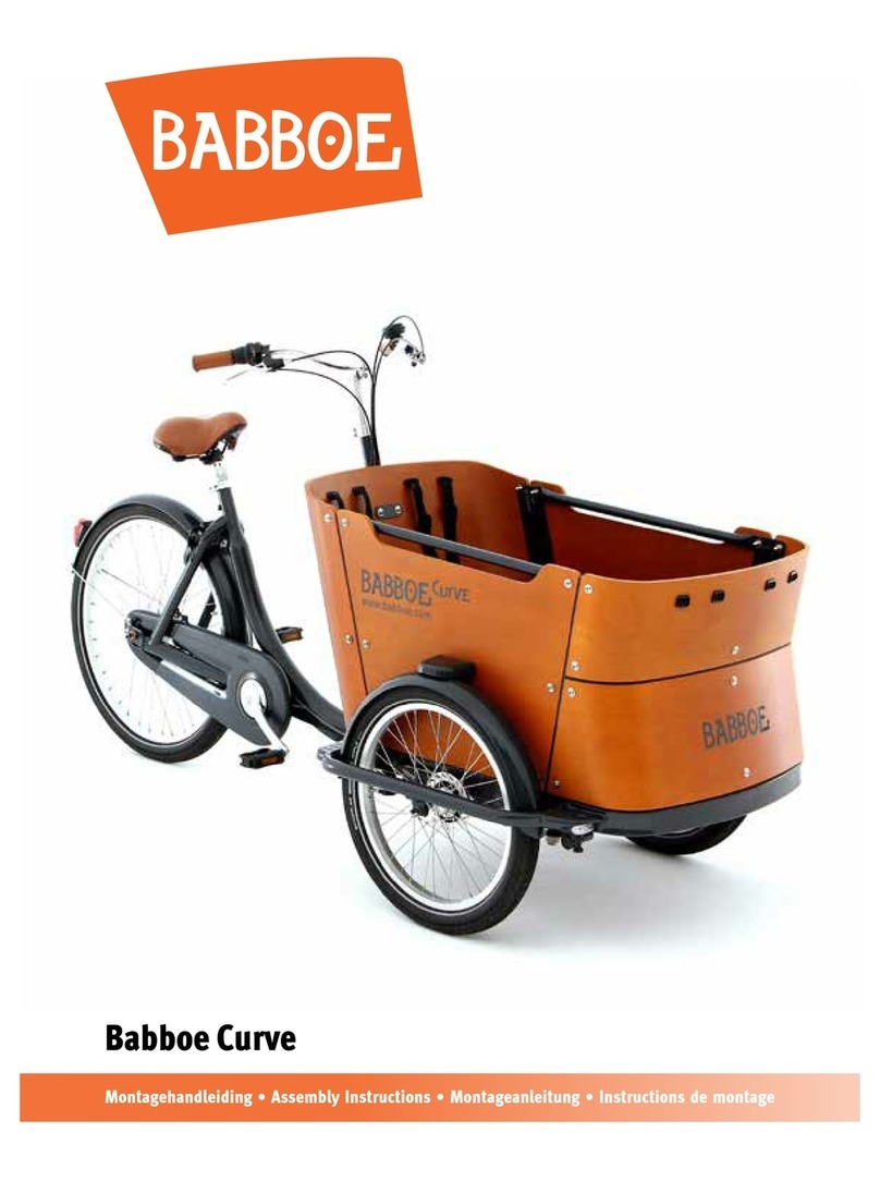 Babboe Curve User manual