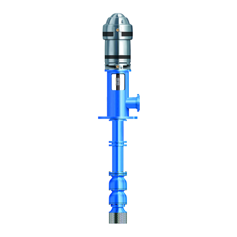 Goulds MODEL VIT Manual