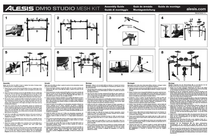 Alesis DM10 MKII Pro User manual