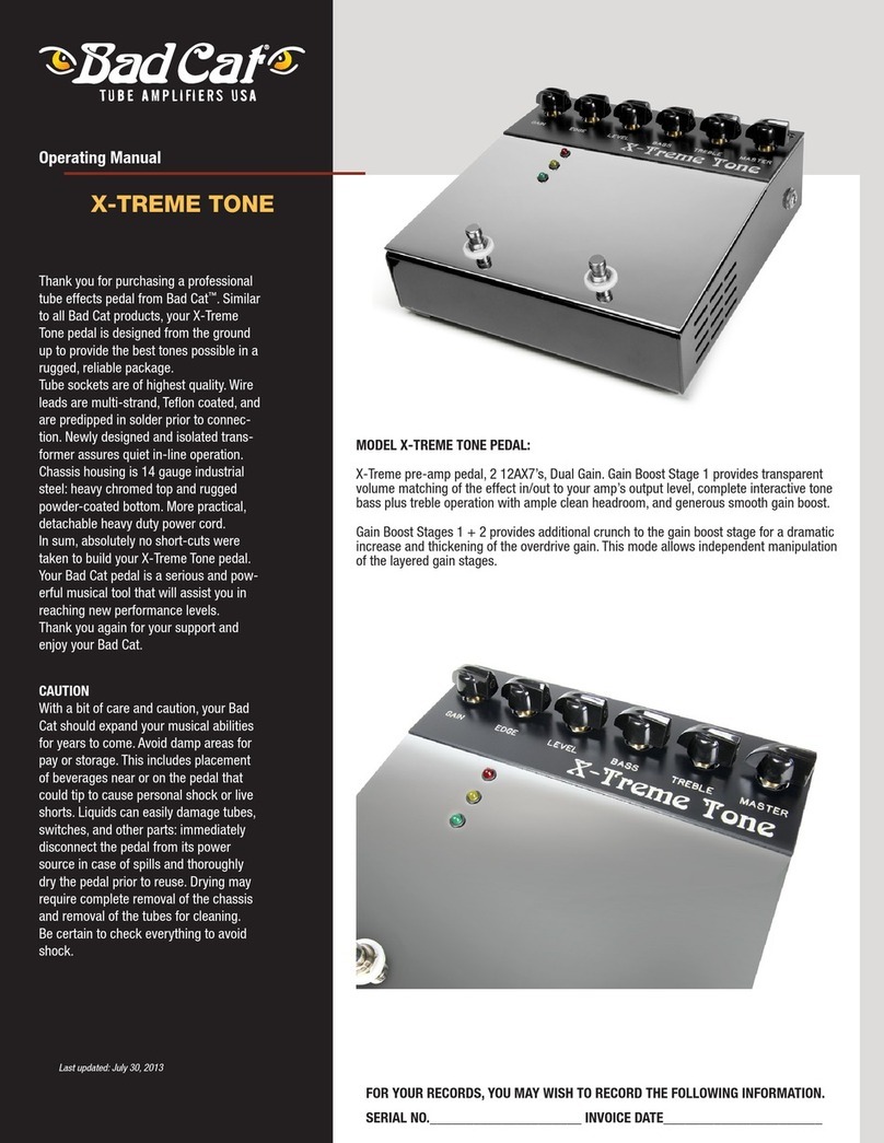 Bad Cat X-TREME TONE operating manual