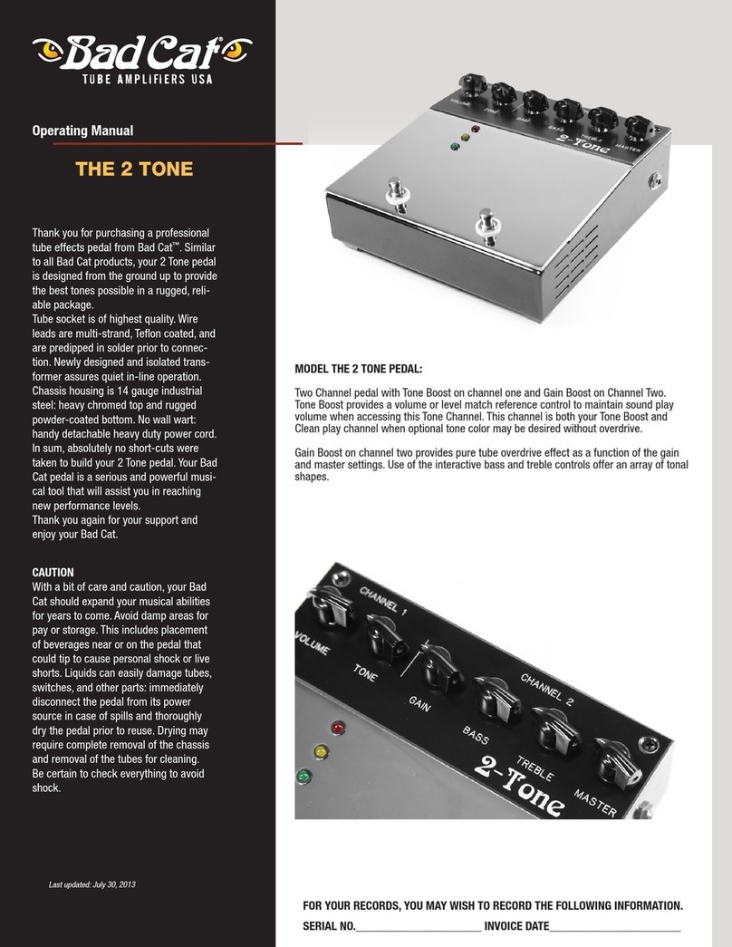 Bad Cat 2 TONE operating manual