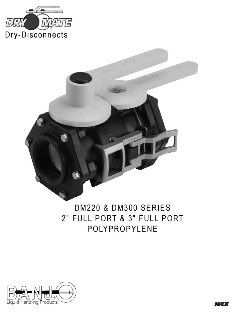 Banjo DM220AD user manual