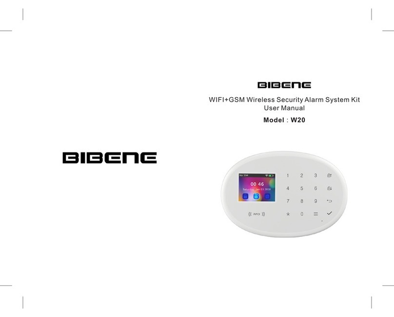 Bibene W20 User manual