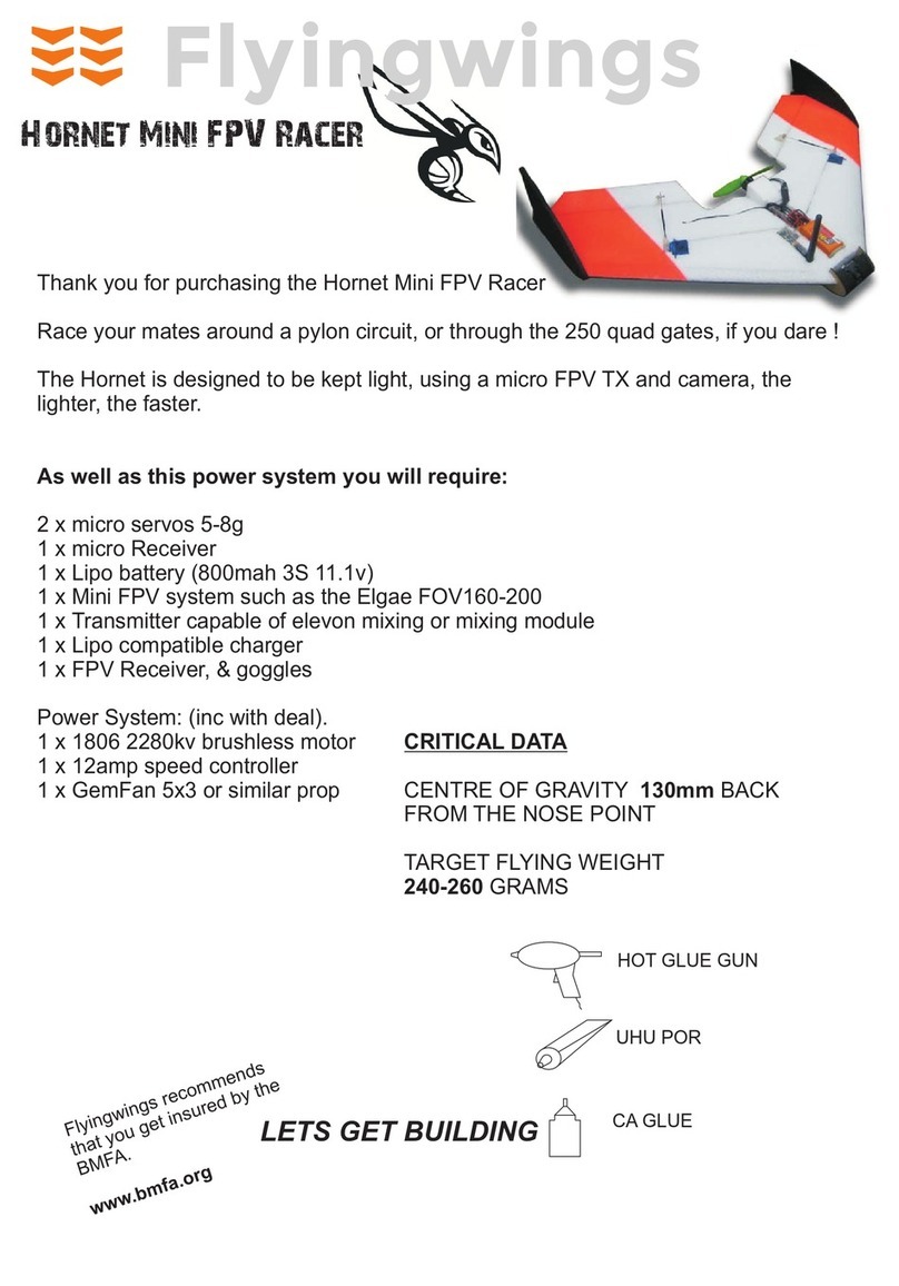 flyingwings Hornet Mini FPV Racer manual