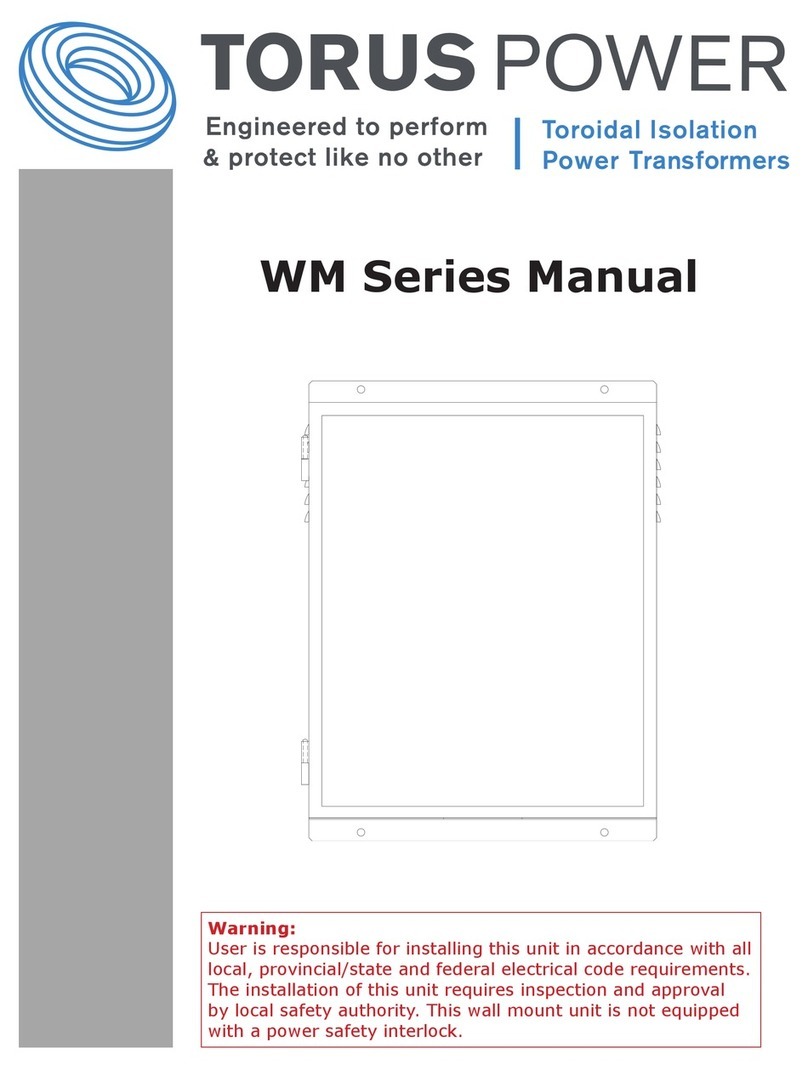 Torus Power WM 45 BAL TVSS User manual