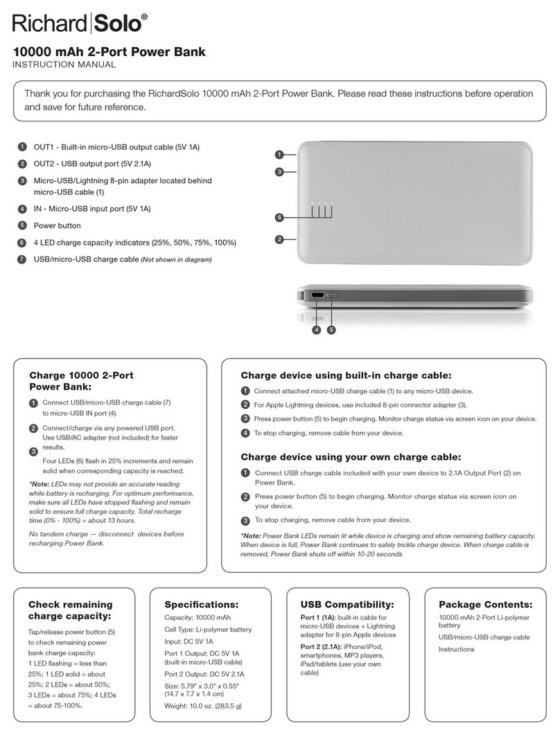RichardSolo 10000 mAh 2-Port Power Bank instruction manual