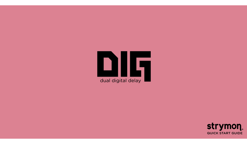 Strymon DIG quick start guide