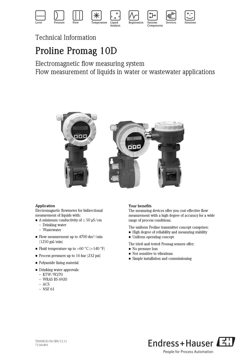 Endress+Hauser Proline Promag 10D Manual