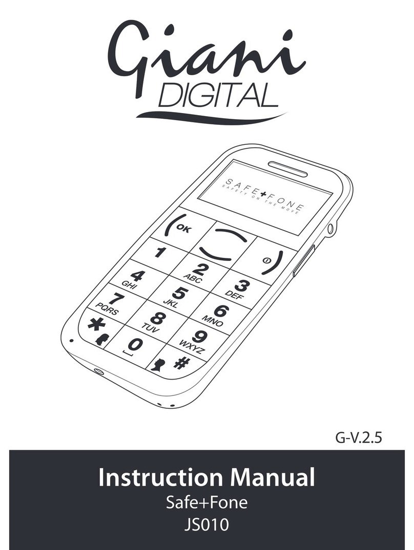 Giani Digital JS010 instruction manual