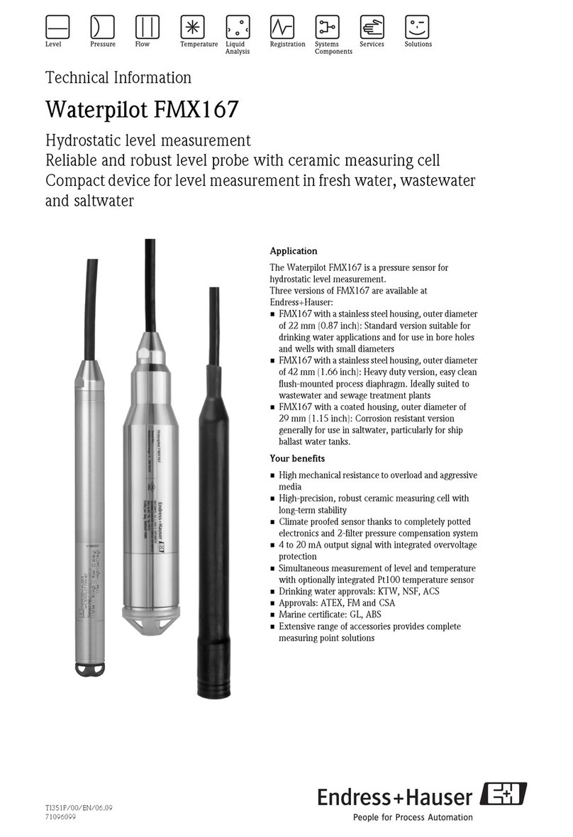 Endress+Hauser Waterpilot FMX167 Manual