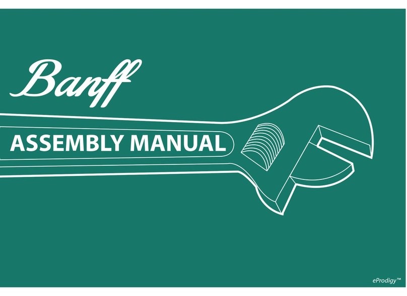 BAnff eProdigy series User manual