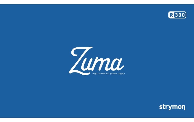 Strymon ZUMA R300 user manual