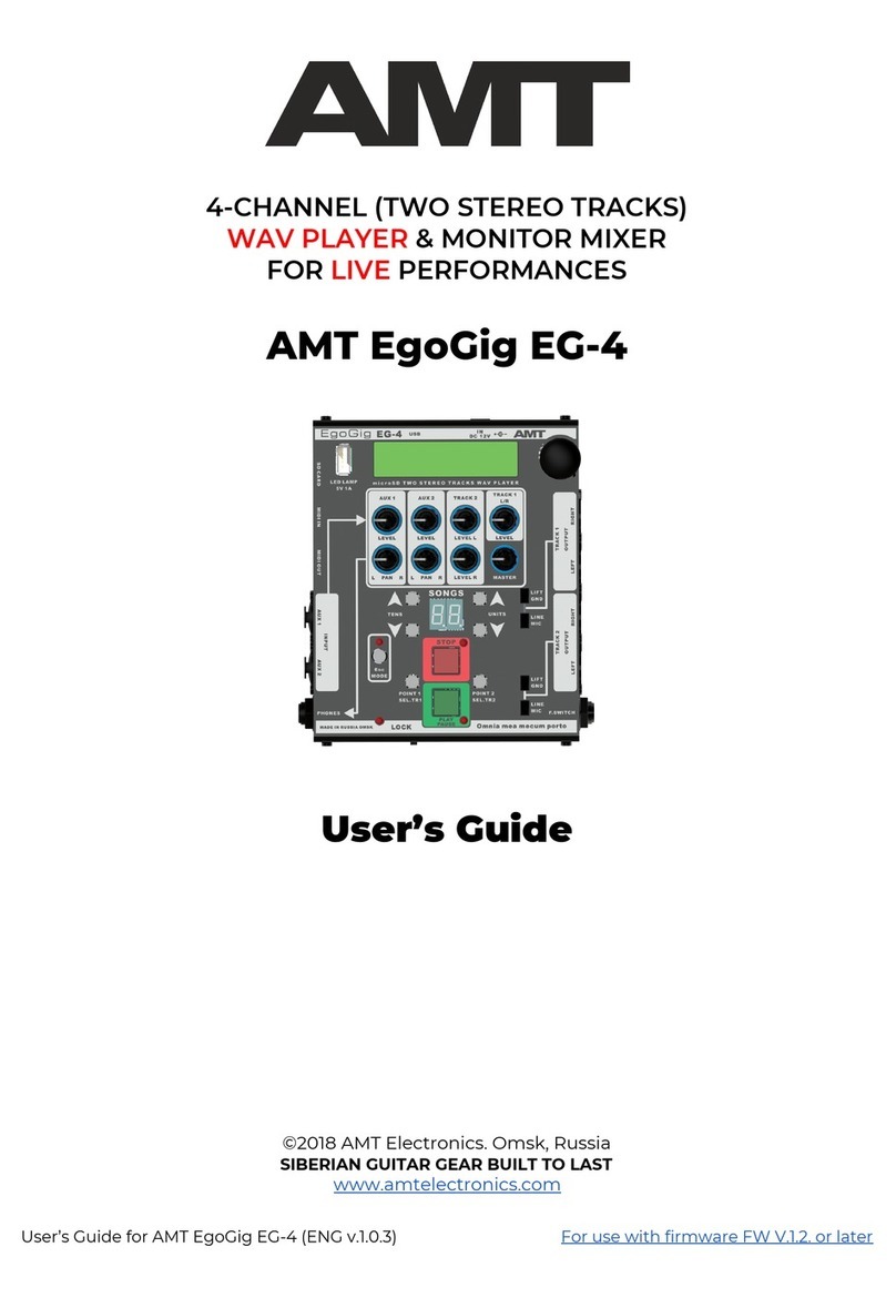 AMT EgoGig EG-4 user guide