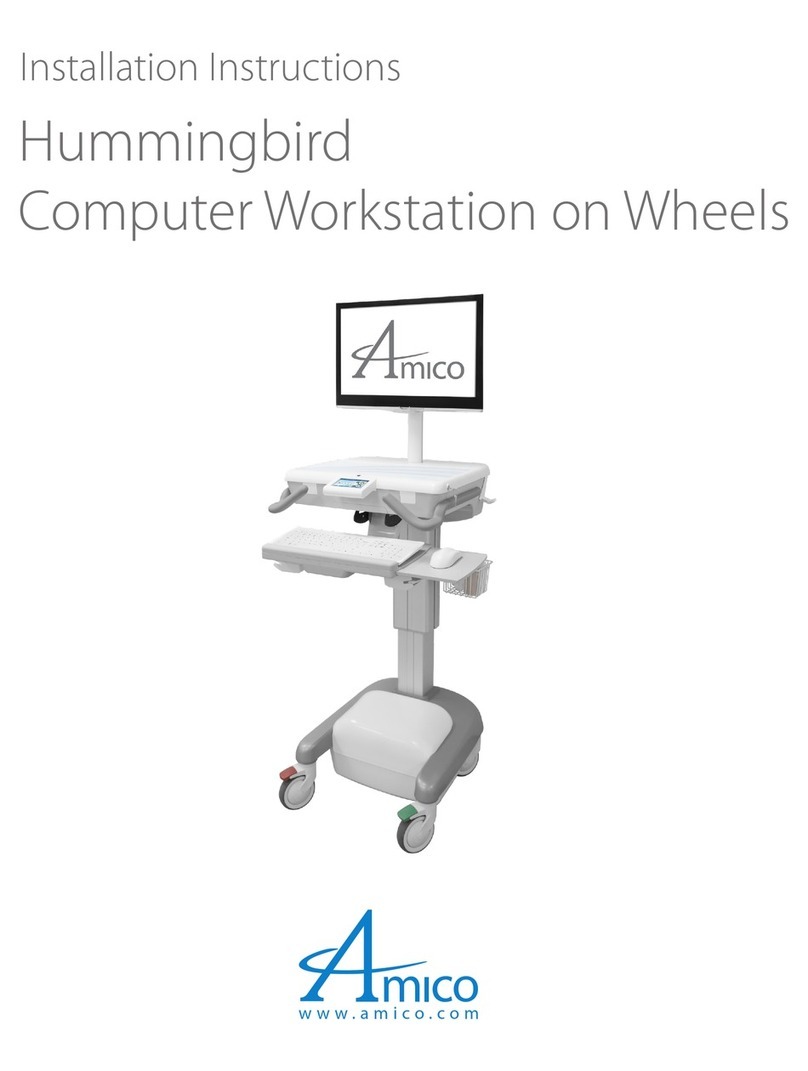 Amico Hummingbird Service manual