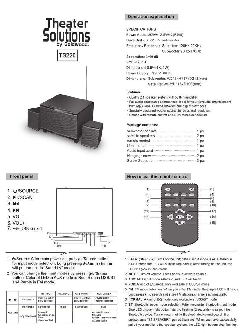 Theater Solutions TS220 user manual