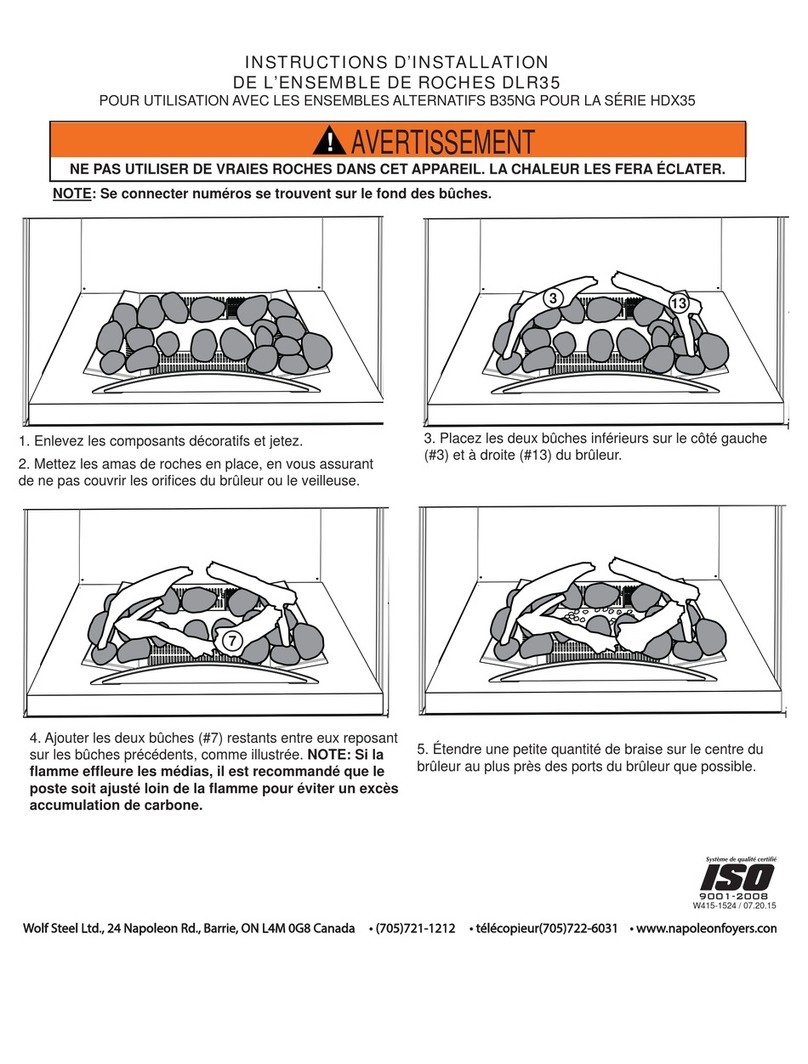 Napoleon B35NG User manual