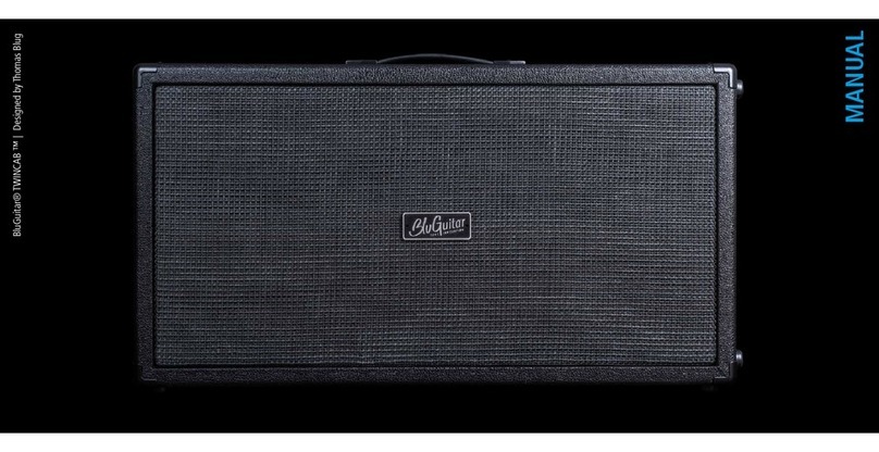 BluGuitar TWINCAB manual