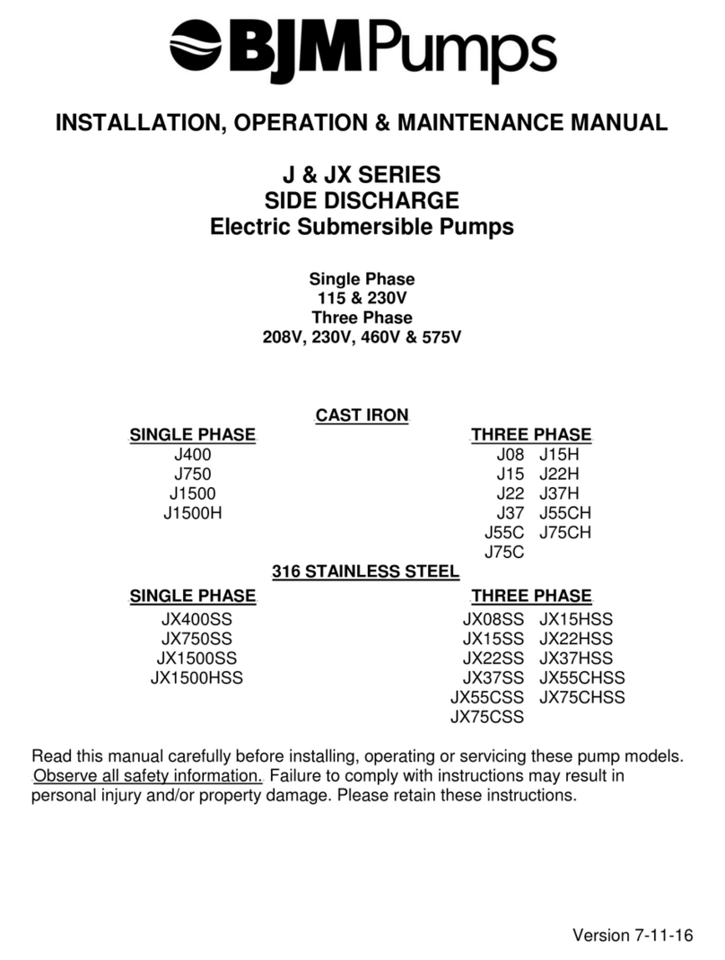 BJM Pumps J400 Instruction manual
