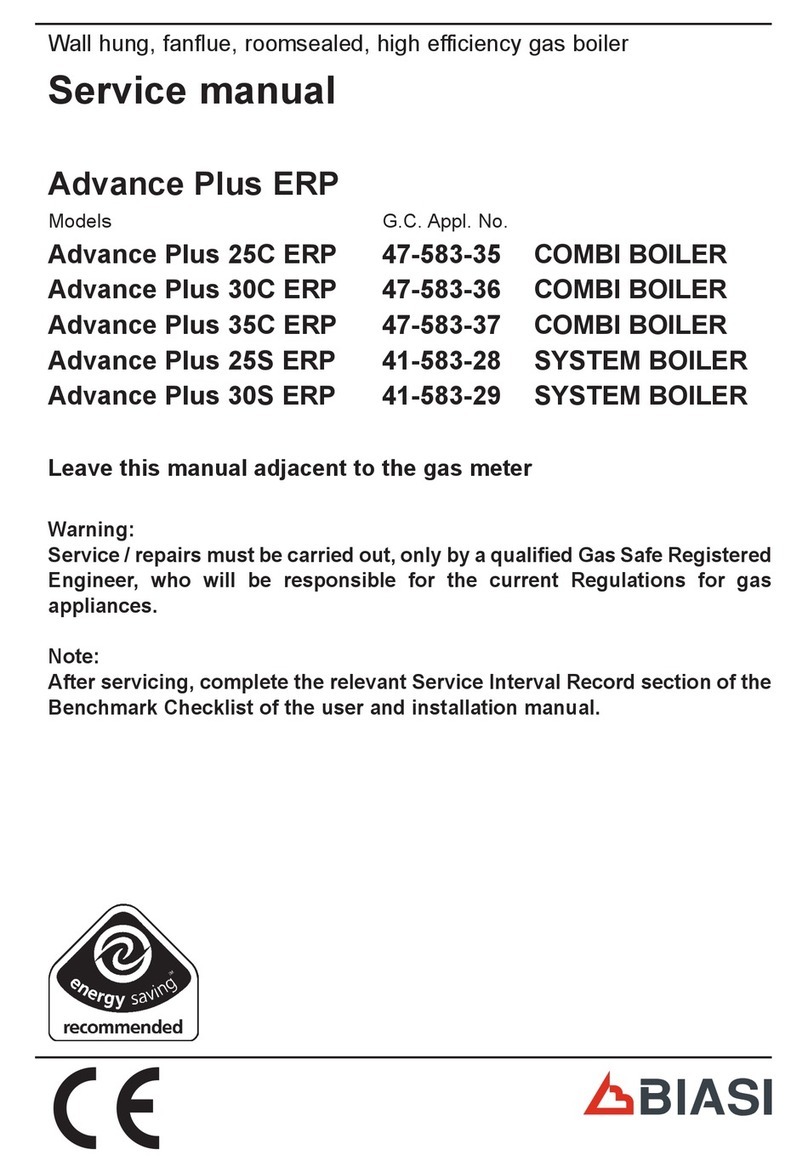 Biasi Advance Plus 25C ERP User manual