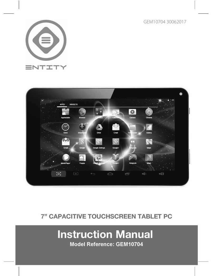 Giani Entity GEM10704 instruction manual