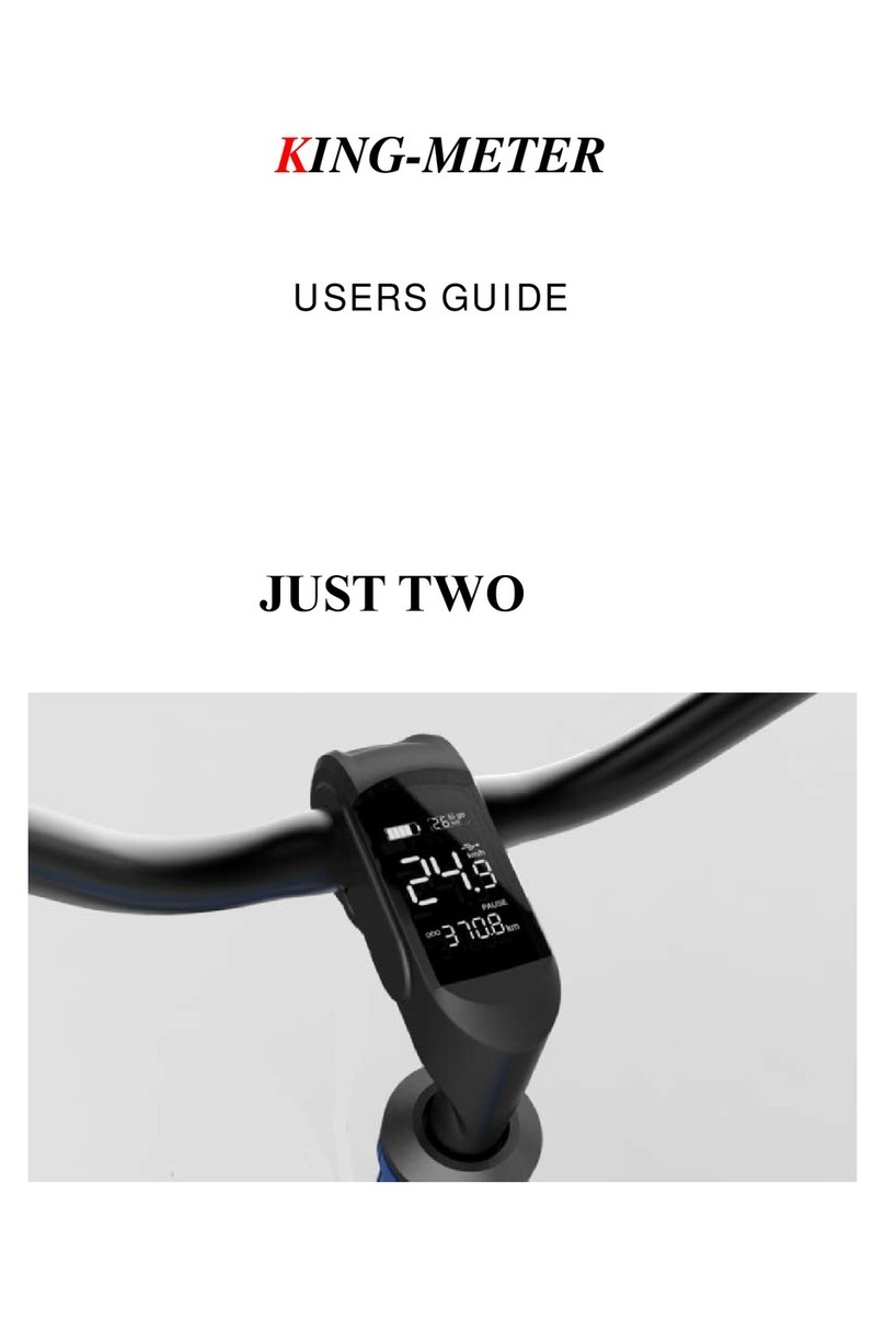 King-Meter JUST TWO User manual