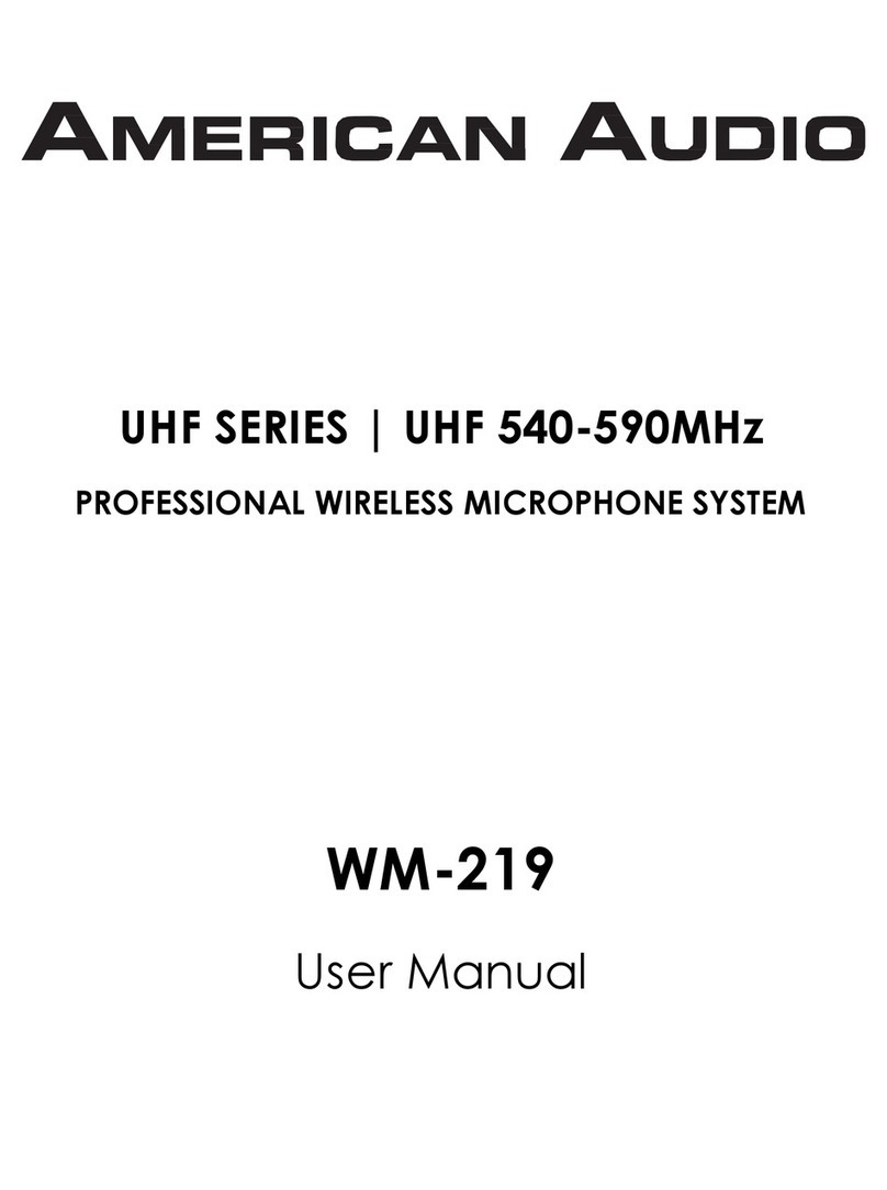 American Audio WM-219 user manual