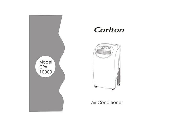 Carlton CPA 10000 instructions
