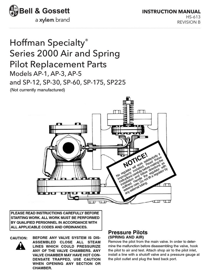 Xylem Hoffman Specialty 2000 Series User manual