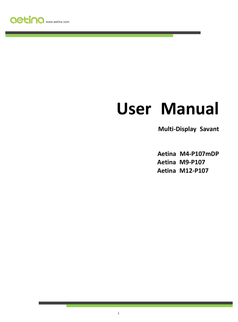 Aetina M4-P107mDP user manual