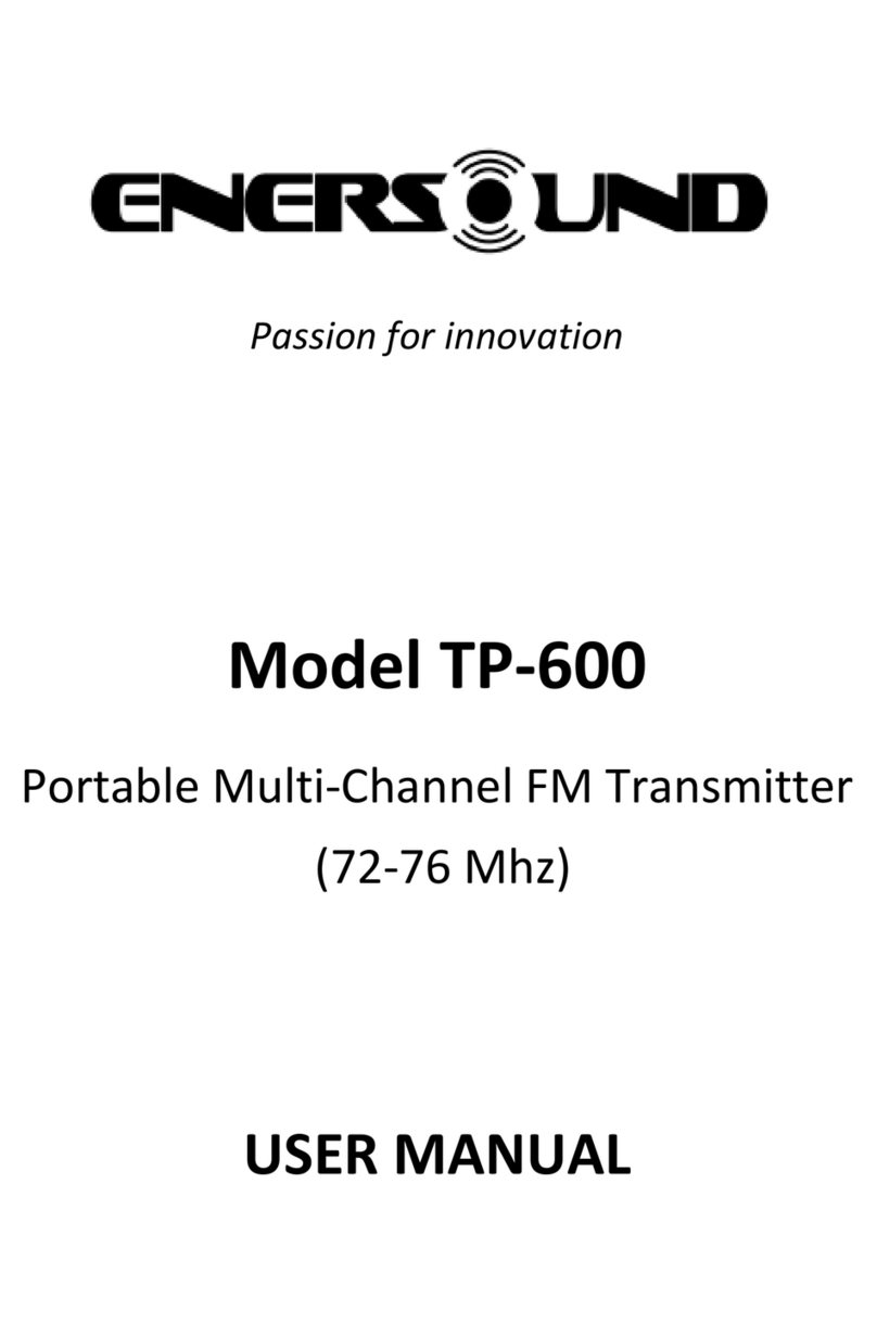 Enersound TP-600 user manual
