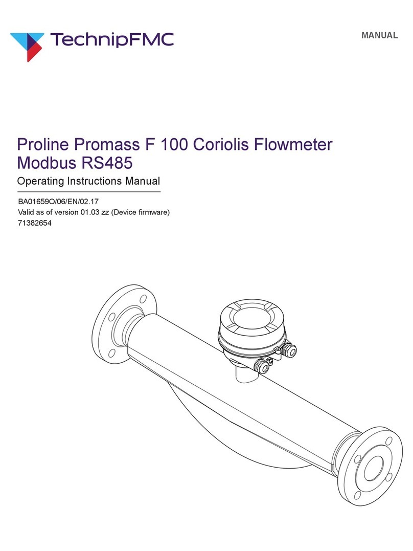 Endress+Hauser Proline Promass F 100 Instruction Manual