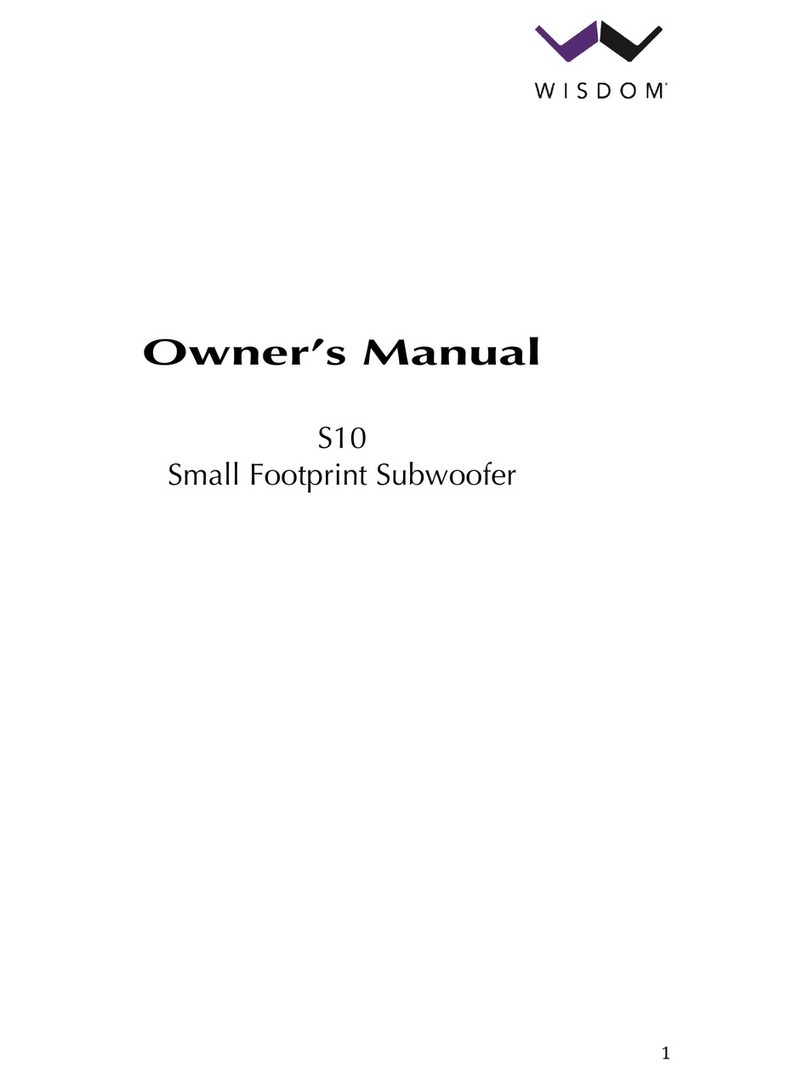 Wisdom S10 User manual