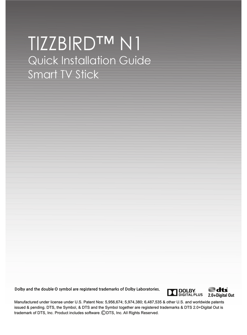 TizzBird Stick N1 User manual