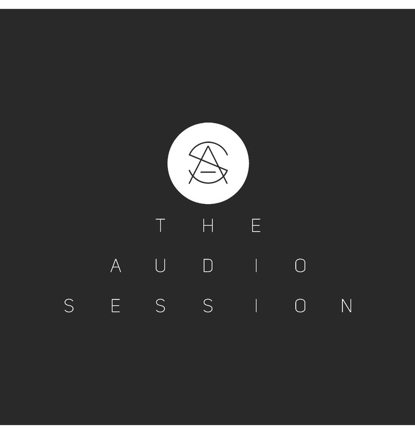 The Audio Session my AUDIO SESSION user manual