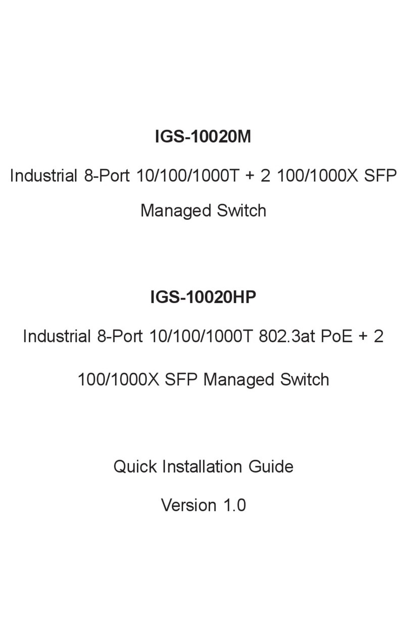 Planet IGS-10020M User manual