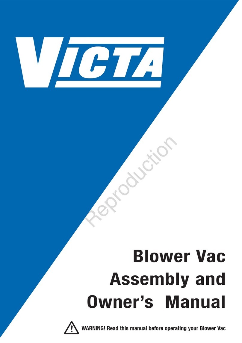 Briggs & Stratton Victa Assembly and owner's manual