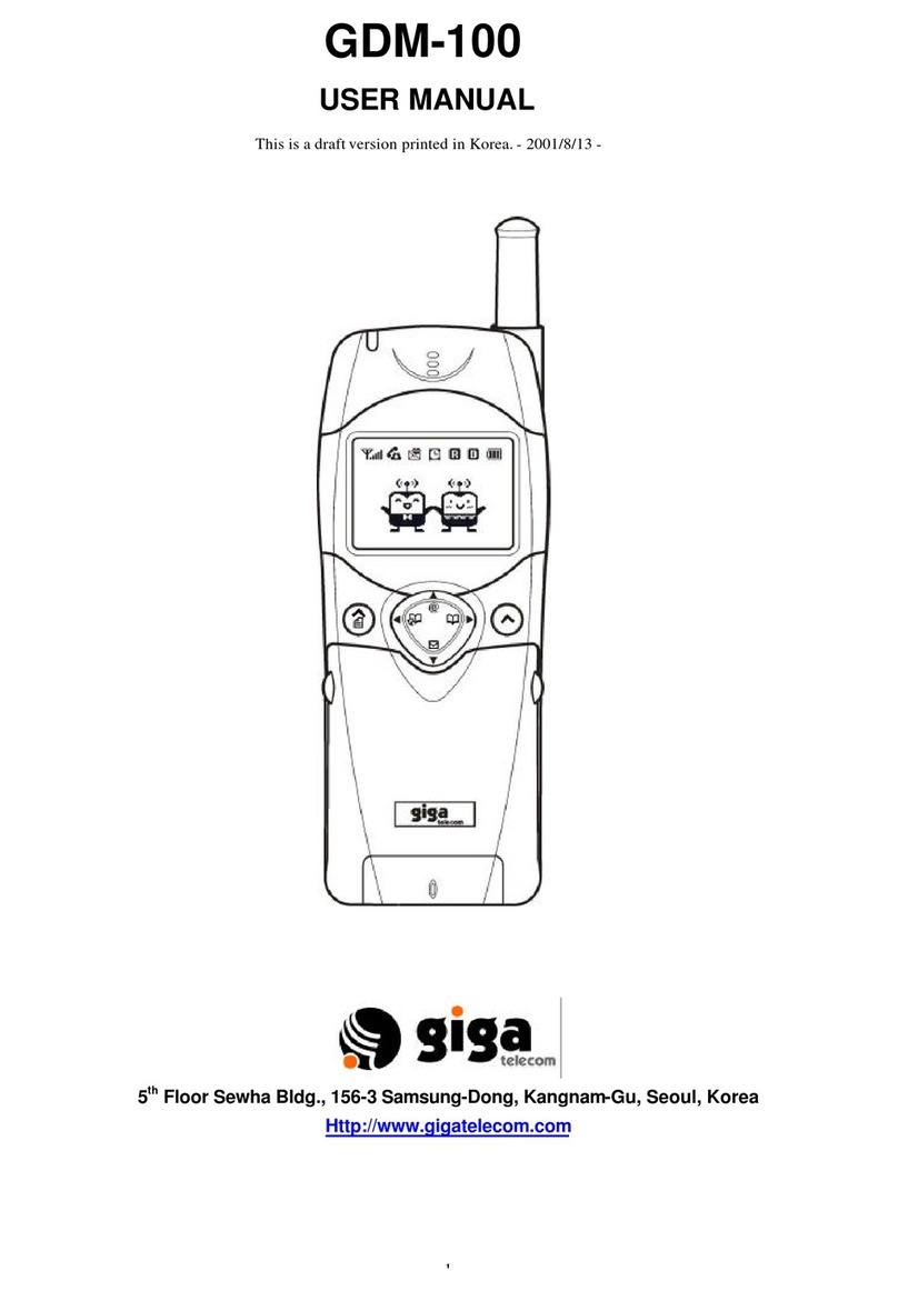 GIGA GDM-100 user manual
